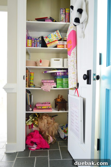 Chaotic but contained game closet with various toys and a wig on the floor