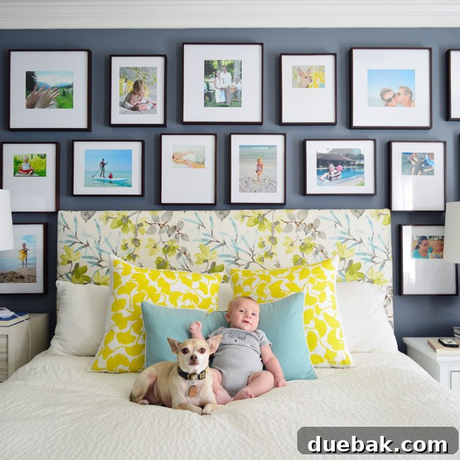 Teddy and Burger posing on the bed in front of the new gallery wall