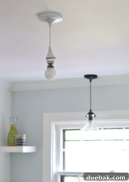 View of the home office with the newly installed overhead light fixture and a plant on the desk.