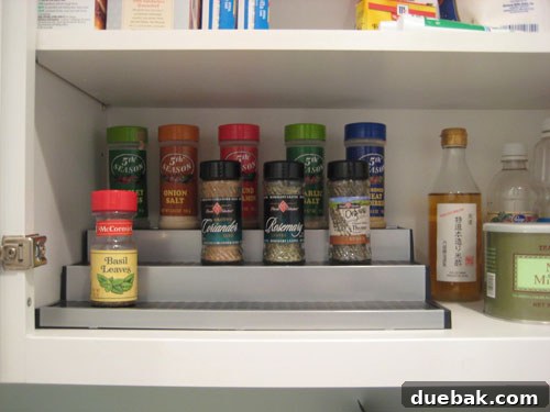 Tiered Spice Rack for Kitchen Organization and Easy Access