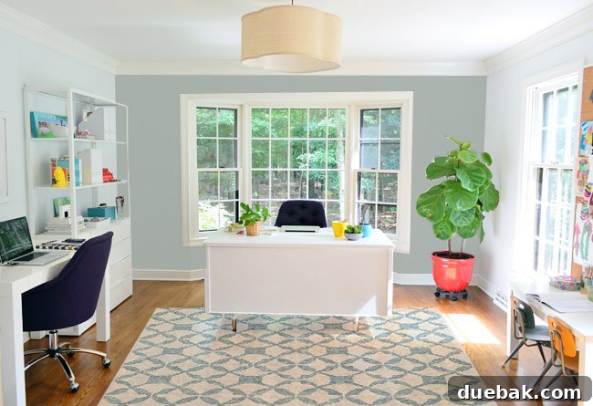 Deep Accent Wall with Bare Windows
