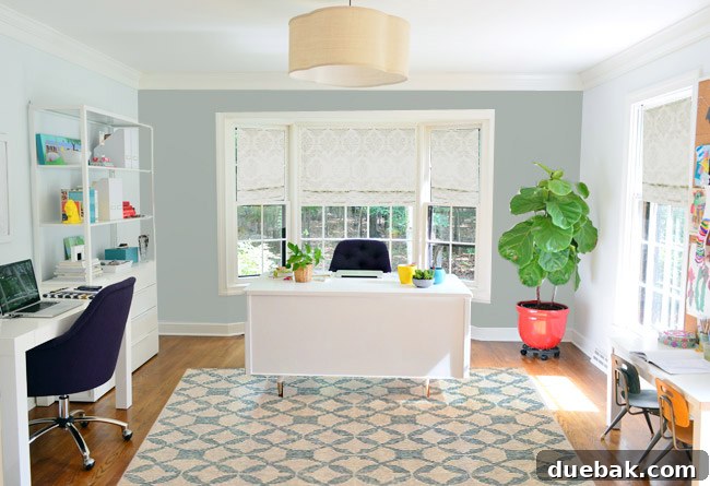 Simple White Roman Shades