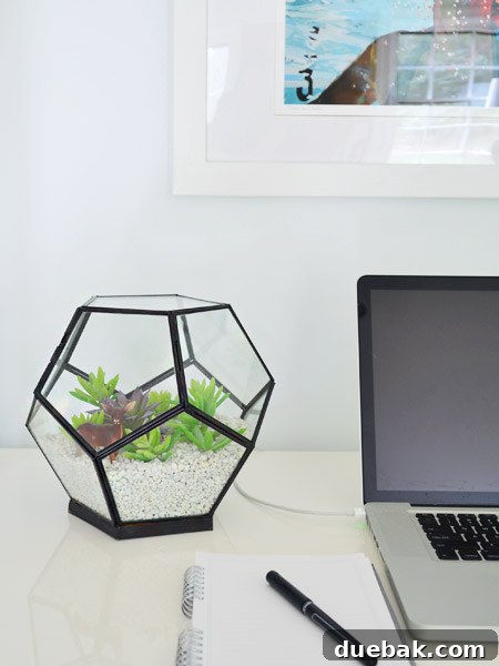 Beautifully redesigned terrarium with faux succulents and white rocks
