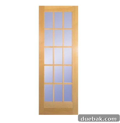 Interior glass door with a shade from behind, demonstrating flexibility of clear glass choice.