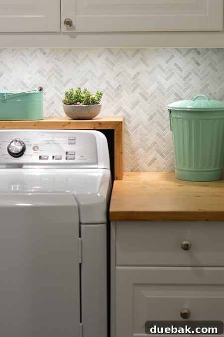 Decorative plant and laundry essentials on the counter