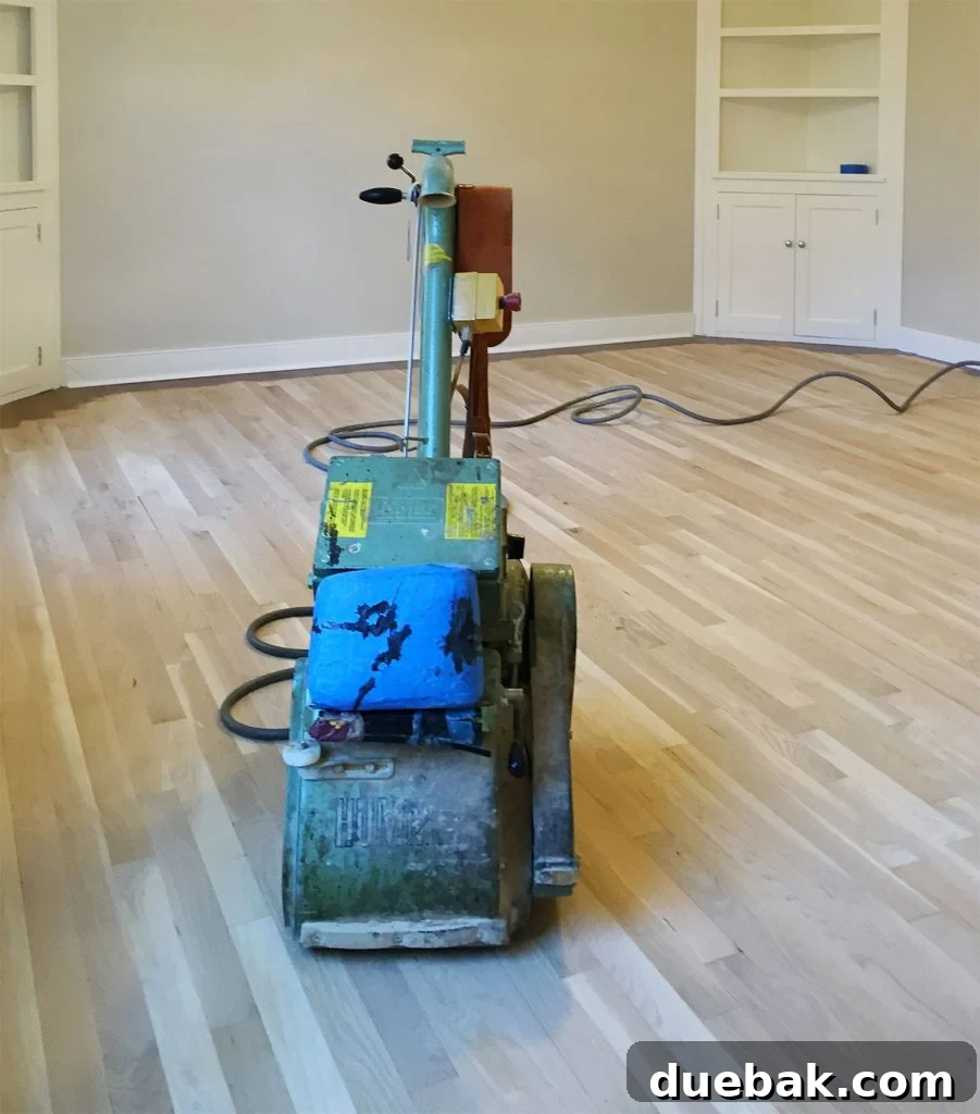 Revitalizing Hardwood Floors The Beginner's Handbook 2 Professional floor sander operating on bare sanded oak floors, poised for staining and sealing