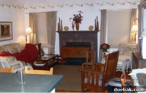Janis's living room before renovation showing dated decor, heavy furniture, and an uninspiring atmosphere