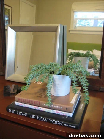 guest-bedroom-burro-tail-fresh-air-quality guest bedroom burro tail succulent for fresh air quality and decor