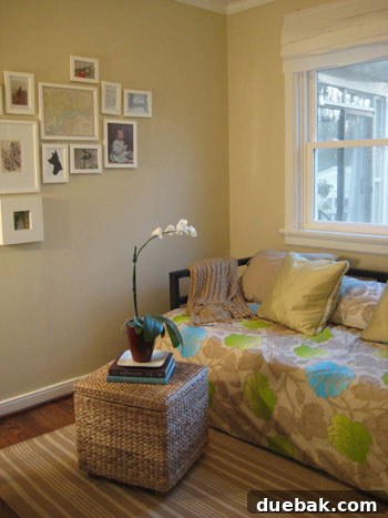 guest-room-orchid orchid plant in a guest room decor