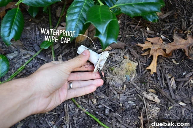 LandscapeLights-WaterproofCap-Daytime-CableTermination