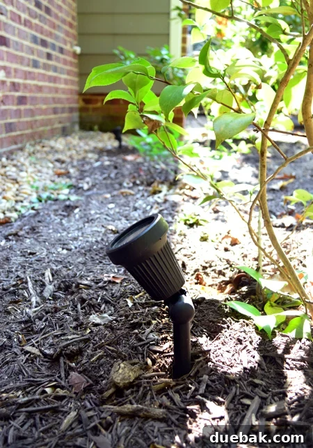 LandscapeLights-UpClose-Daytime-BuriedCable