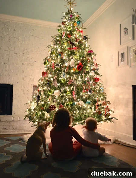 Tree-Kids-2014