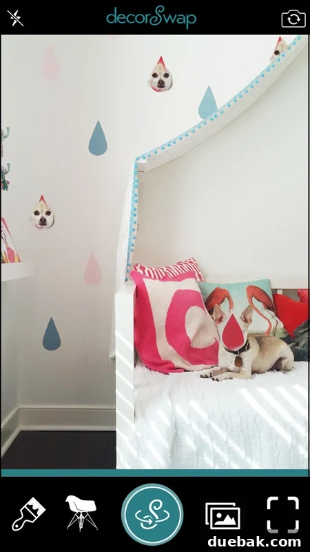 Comical decorSwap image showing multiple chihuahua faces digitally placed on a wall, satirizing design trends