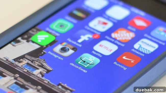 DecorSwap app icon on an iPhone screen, symbolizing virtual home decor visualization