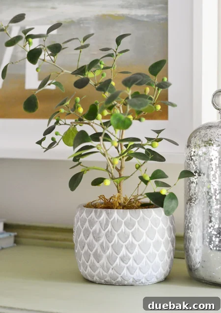 Stylish non-white planter from HomeGoods and other home decor finds.