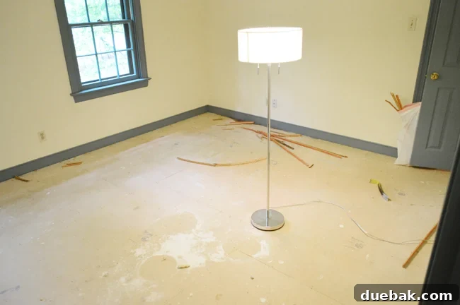 EvolutionGirlsRoom-Ripping-Up-Carpet