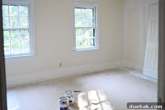 EvolutionGirlsRoom-PaintingTrim