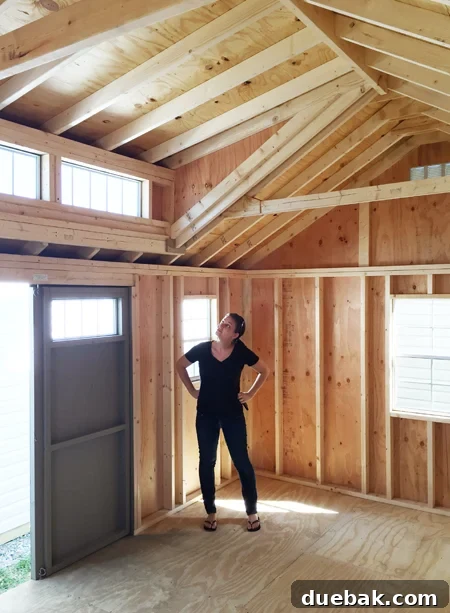 Shed-Inside-Sherry-For-Scale