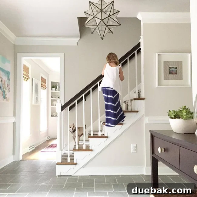 Seamless Beige Throughout 2 Benjamin Moore Edgecomb Gray paint in foyer, neutral beige wall color