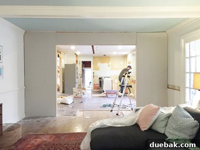 Our Biggest Kitchen Renovation Project Completed - Demolition Phase
