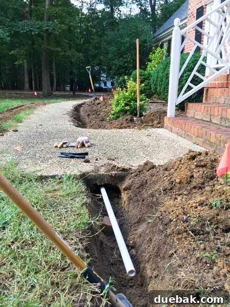 White Walls: Forever Fresh or Fading Fast? 2 Our new irrigation system installation in progress, showing pipes and trenches