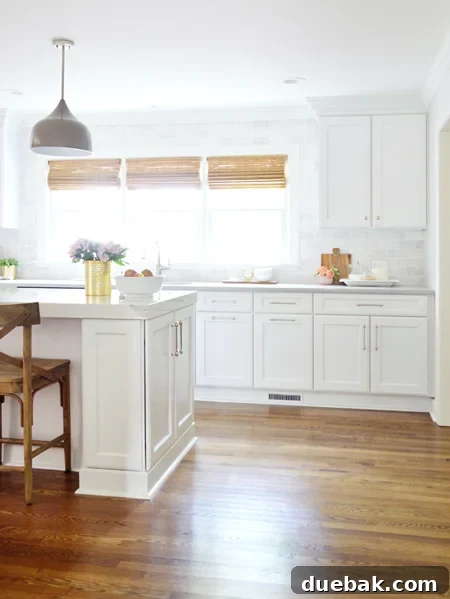 kitchen-remodel-open-island-with-pendant-450
