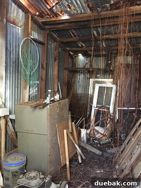 Inside view of the beach house shed, revealing significant disarray, grime, and renovation potential