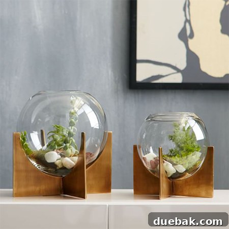 brass-terrarium-bowl-decor-sale-chic