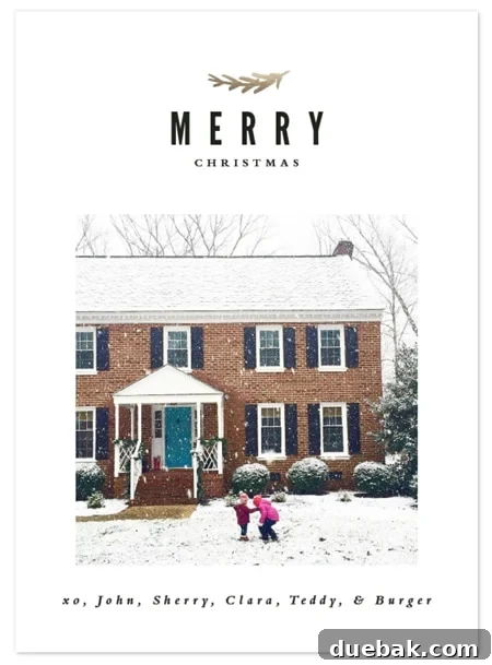 The Unseen Drawback of Calling in the Pros 3 Our family Christmas card for the year