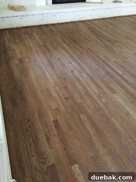 Close-up of freshly stained hardwood floors looking rustic and uneven