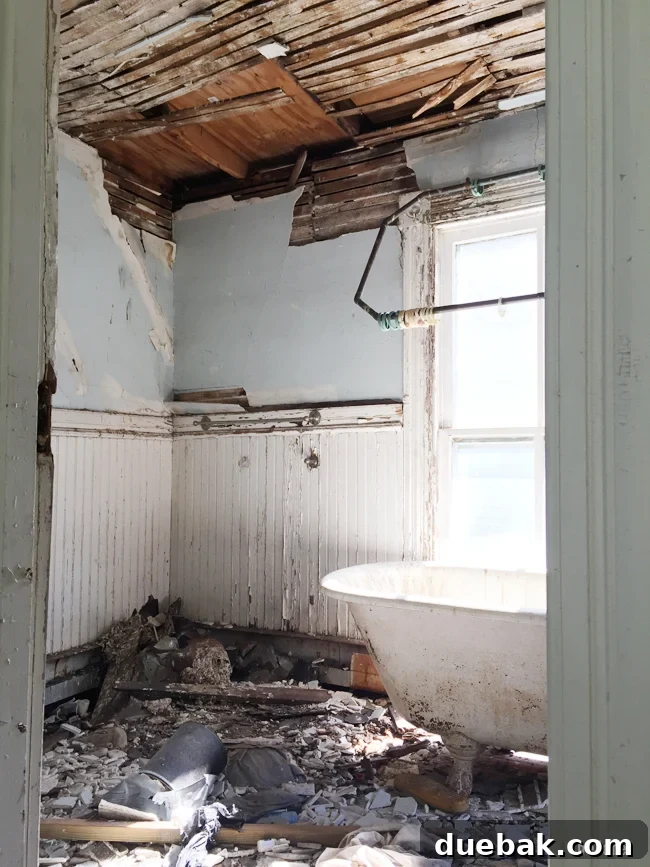 From Studs Up: The Beach House Revival 14 Interior view of the old bathroom after demolition, showing severe water damage and structural decay.