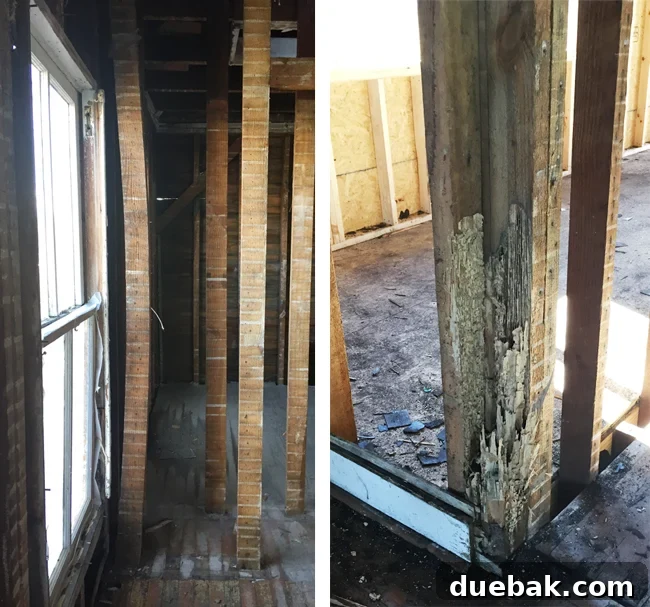 From Studs Up: The Beach House Revival 4 Close-up of damaged studs after demolition, showing termite damage on the right and a warped stud on the left.