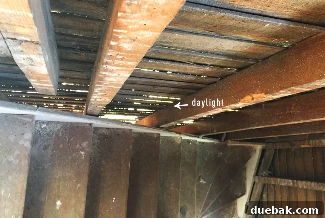 From Studs Up: The Beach House Revival 5 View of exposed exterior wall studs after interior demolition, revealing numerous gaps and lack of insulation.