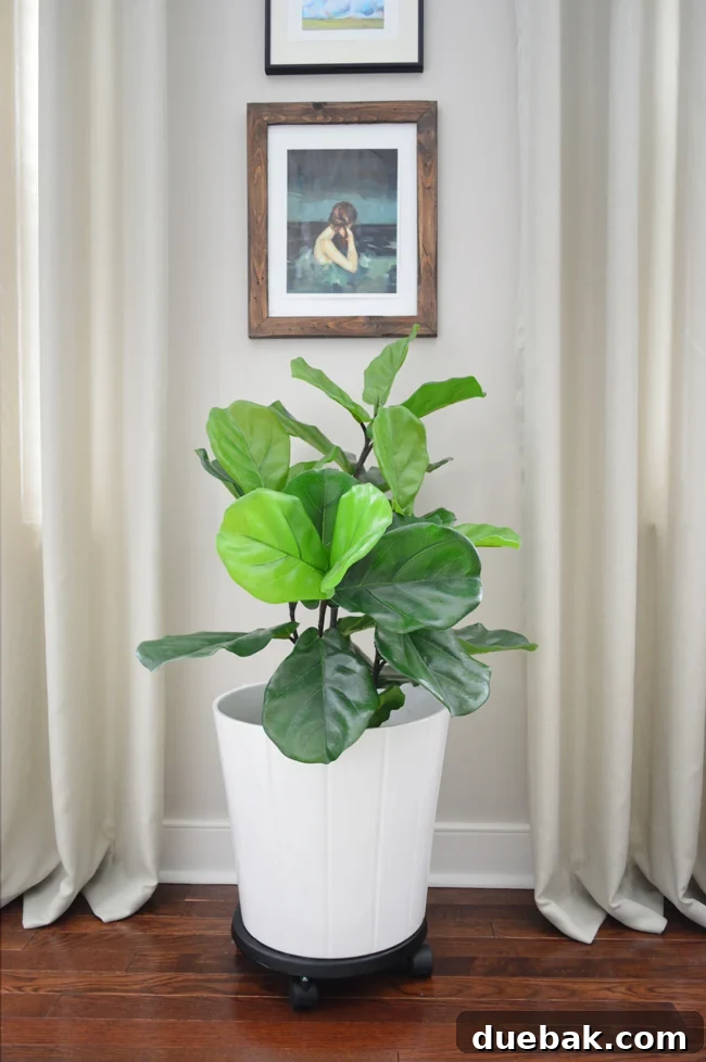 The Faux Fiddle Leaf Fig That Ended My Search 3 Large faux fiddle leaf fig plant in a room corner