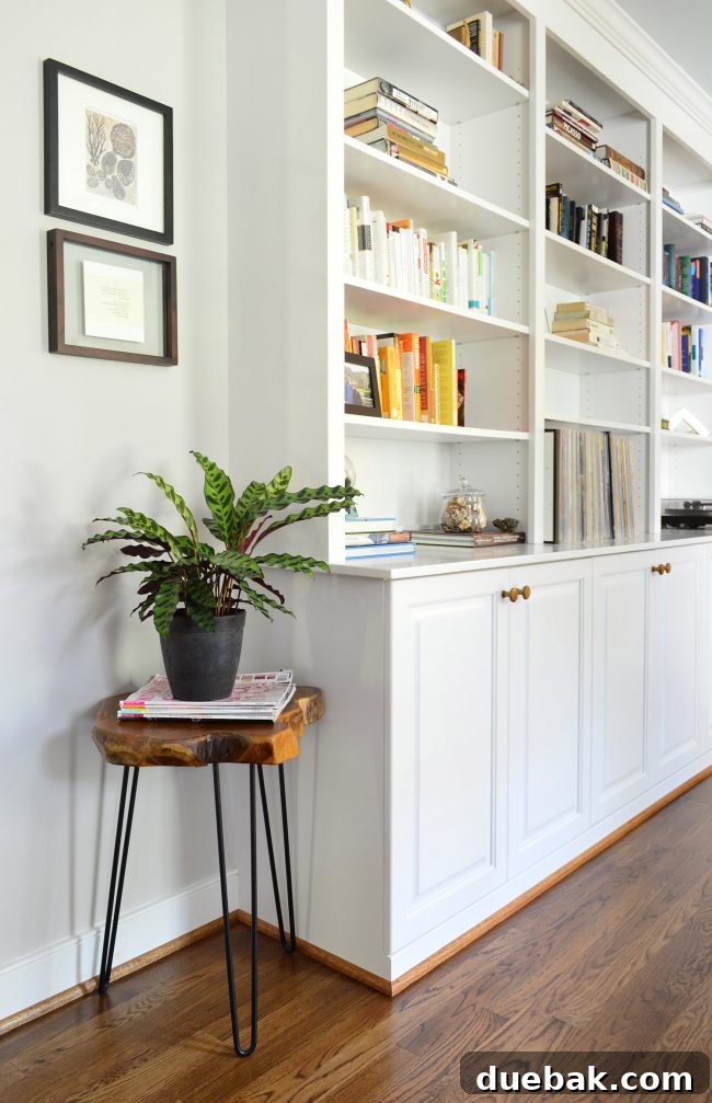 Built-in Shelves with Plants and Books