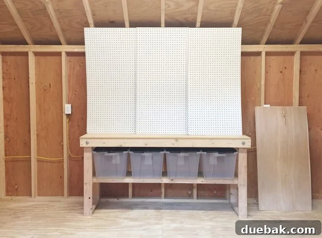 Shed interior with a collapsible workbench for DIY projects