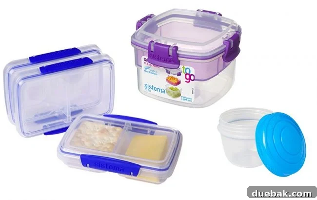 The Telltale Signs of Your Forever House 3 Various reusable Sistema containers, perfect for packing children's lunches, showcasing different sizes and compartments.
