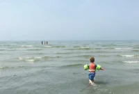 The Rocky Shores of Our Beach House Renovation