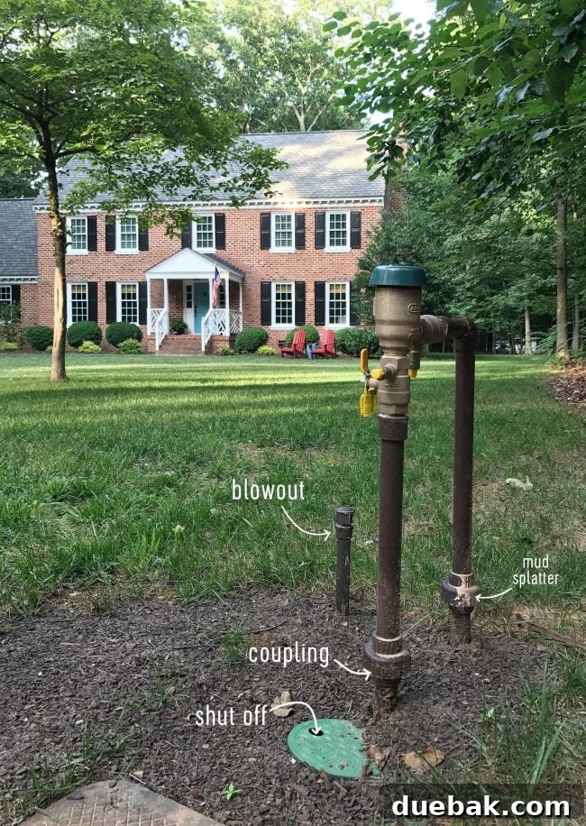 Correctly installed irrigation backflow preventer with shutoff valve, union couplings, and blowout connection