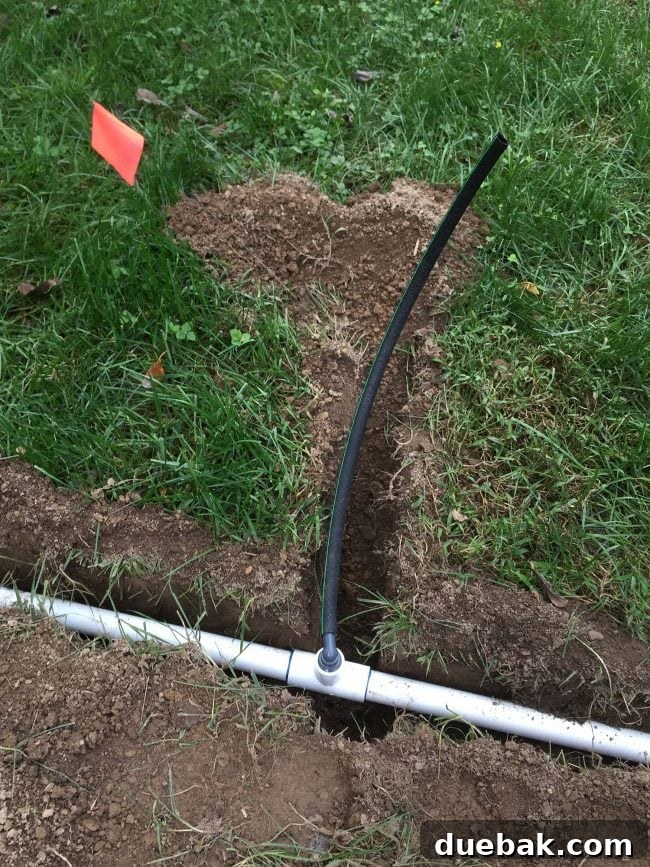Installation of irrigation system showing flexible funny pipe connected to a tee coupling in the PVC line