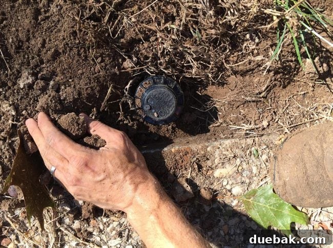 Burying a sprinkler head flush with the ground as part of an irrigation system installation