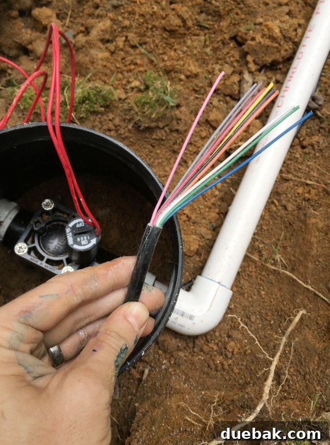 Installation of an irrigation system showing underground 10-conductor wire being routed