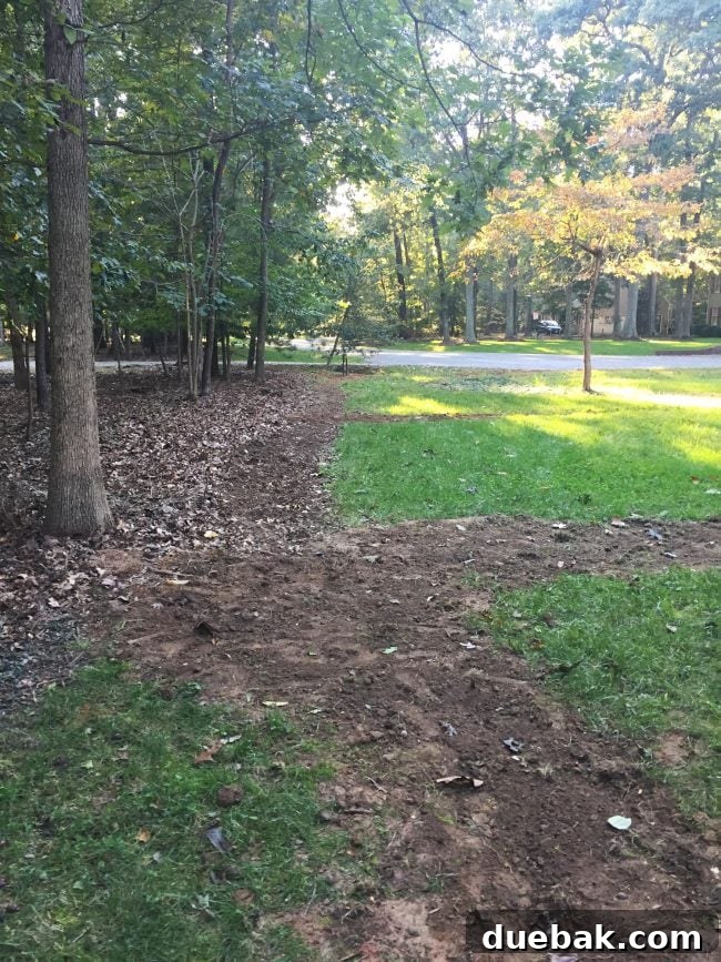 Irrigation system trenches properly filled in, restoring the lawn's appearance