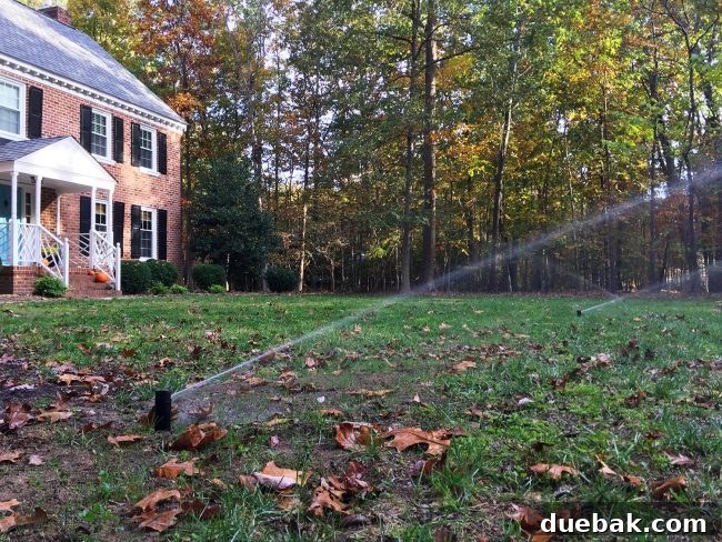Front yard with new irrigation system installed, grass regrowing, and sprinkler heads actively watering