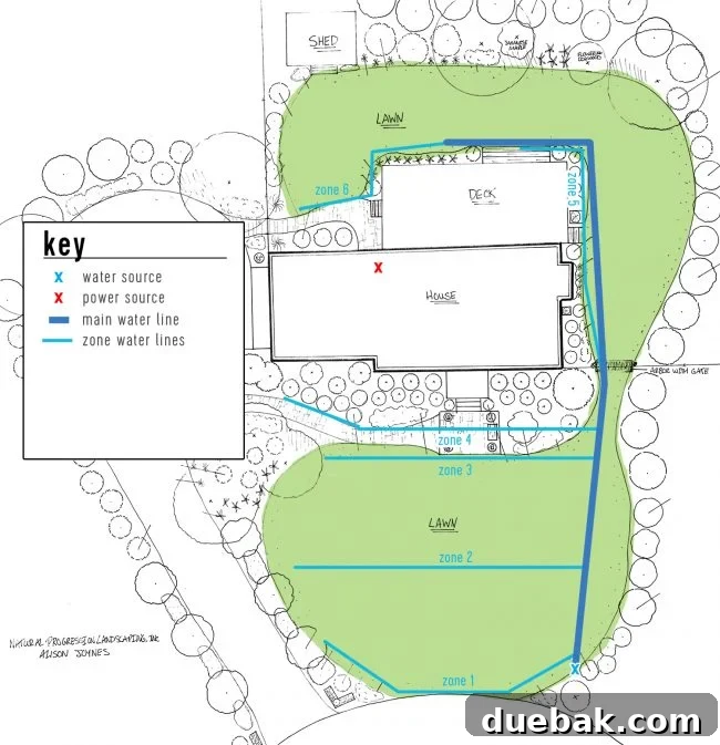 Detailed irrigation system landscape plan showing the main water line and branching zone lines