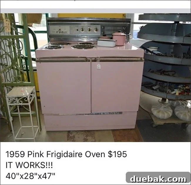 Coastal Kitchen Star: The Retro Rose Oven 3 Close-up of the vintage pink Frigidaire stove's control panel
