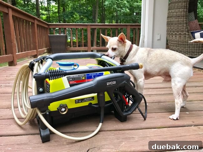 A compact pressure washer positioned next to a small dog, illustrating its size, with a clean outdoor area in the background.
