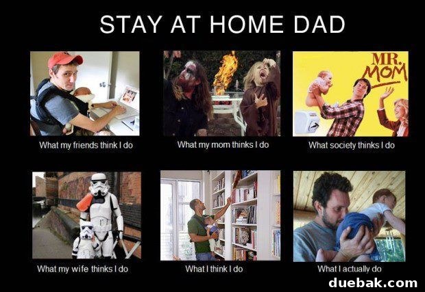 Stay at Home Dad Meme