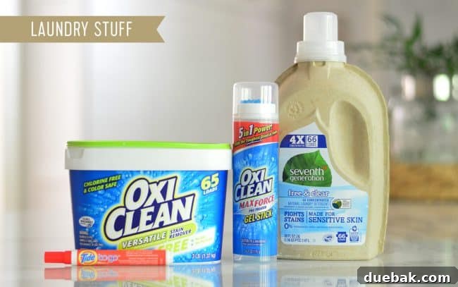 Natural Laundry Products Including Seventh Generation Detergent