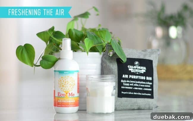 Natural Air Fresheners Candle Charcoal Bag